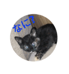 てばさん家（個別スタンプ：5）