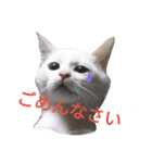 てばさん家（個別スタンプ：7）