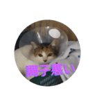 てばさん家（個別スタンプ：10）