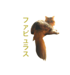 びんねこちゃん（個別スタンプ：8）