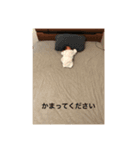こうた2（個別スタンプ：7）