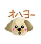 トイプードル マル（個別スタンプ：1）