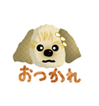 トイプードル マル（個別スタンプ：3）