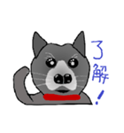 甲斐犬ランちゃん（個別スタンプ：4）