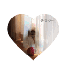 トイプードルのcoco♡（個別スタンプ：9）