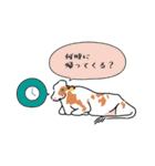 実用！酪農連絡スタンプ（個別スタンプ：13）