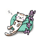 日常ねこねこスタンプ②（個別スタンプ：5）