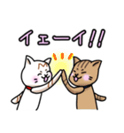 日常ねこねこスタンプ②（個別スタンプ：33）