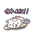 日常ねこねこスタンプ②（個別スタンプ：37）