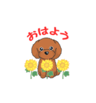 TOY POODLE トイプードル（動く2）（個別スタンプ：5）