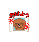 TOY POODLE トイプードル（動く2）（個別スタンプ：6）