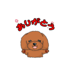 TOY POODLE トイプードル（動く2）（個別スタンプ：9）