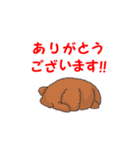 TOY POODLE トイプードル（動く2）（個別スタンプ：10）