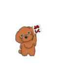 TOY POODLE トイプードル（動く2）（個別スタンプ：11）