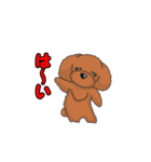 TOY POODLE トイプードル（動く2）（個別スタンプ：18）