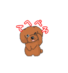 TOY POODLE トイプードル（動く2）（個別スタンプ：19）