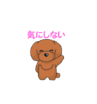 TOY POODLE トイプードル（動く2）（個別スタンプ：21）