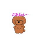 TOY POODLE トイプードル（動く2）（個別スタンプ：22）