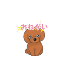 TOY POODLE トイプードル（動く2）（個別スタンプ：24）