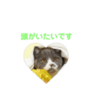 いっきゅう（個別スタンプ：5）