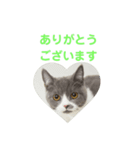 いっきゅう（個別スタンプ：6）