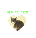 いっきゅう（個別スタンプ：7）