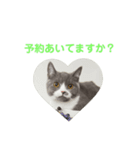 いっきゅう（個別スタンプ：8）