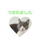 いっきゅう（個別スタンプ：13）