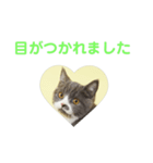 いっきゅう（個別スタンプ：14）