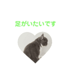 いっきゅう（個別スタンプ：15）