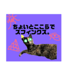 ASTROCAT.2（個別スタンプ：4）