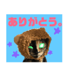 ASTROCAT.2（個別スタンプ：7）