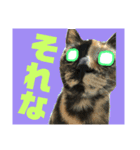 ASTROCAT.2（個別スタンプ：8）