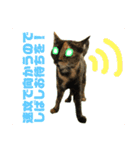 ASTROCAT.2（個別スタンプ：9）