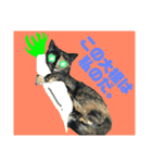 ASTROCAT.2（個別スタンプ：14）