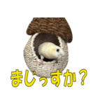 いつでも さざなみインコ 6（個別スタンプ：9）