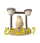 いつでも さざなみインコ 6（個別スタンプ：12）