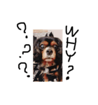 everydaydogs（個別スタンプ：12）