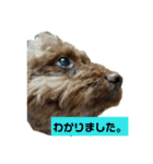 てつちゃん（個別スタンプ：3）