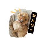 てつちゃん（個別スタンプ：13）