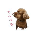 てつちゃん（個別スタンプ：14）
