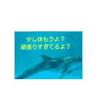 空と自然と日常（個別スタンプ：4）