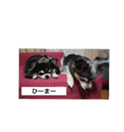 ちっぷとうめ#1（個別スタンプ：5）