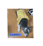 ちっぷとうめ#1（個別スタンプ：6）