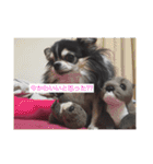 ちっぷとうめ#1（個別スタンプ：7）