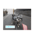 ちっぷとうめ#1（個別スタンプ：11）