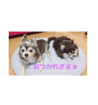 ちっぷとうめ#1（個別スタンプ：13）