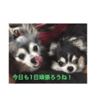 ちっぷとうめ#1（個別スタンプ：16）
