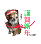 やまむぎちゃん（個別スタンプ：6）