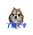 やまむぎちゃん（個別スタンプ：7）